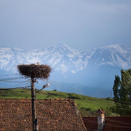 Casa Mosului - Transfagarasan Bed & Breakfast Cîrţişoara Екстериор снимка