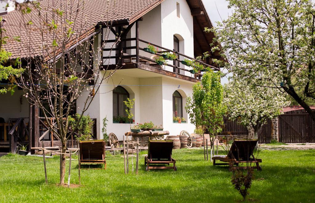 Casa Mosului - Transfagarasan Bed & Breakfast Cîrţişoara Екстериор снимка