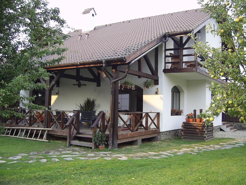 Casa Mosului - Transfagarasan Bed & Breakfast Cîrţişoara Екстериор снимка
