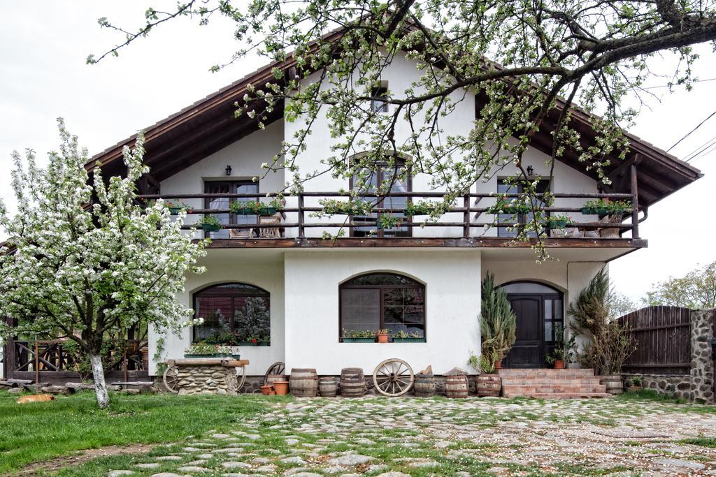 Casa Mosului - Transfagarasan Bed & Breakfast Cîrţişoara Екстериор снимка