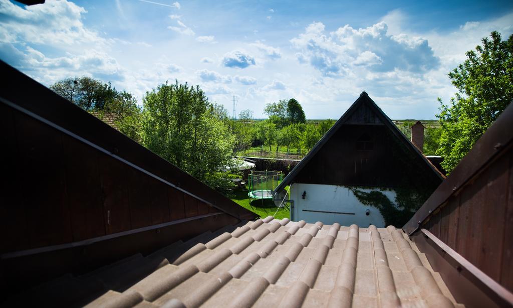 Casa Mosului - Transfagarasan Bed & Breakfast Cîrţişoara Екстериор снимка