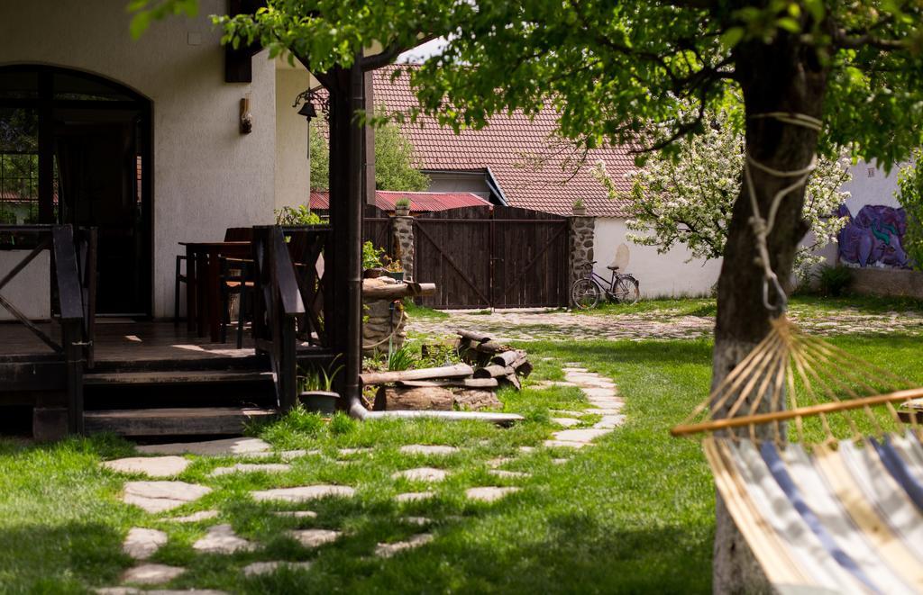 Casa Mosului - Transfagarasan Bed & Breakfast Cîrţişoara Екстериор снимка