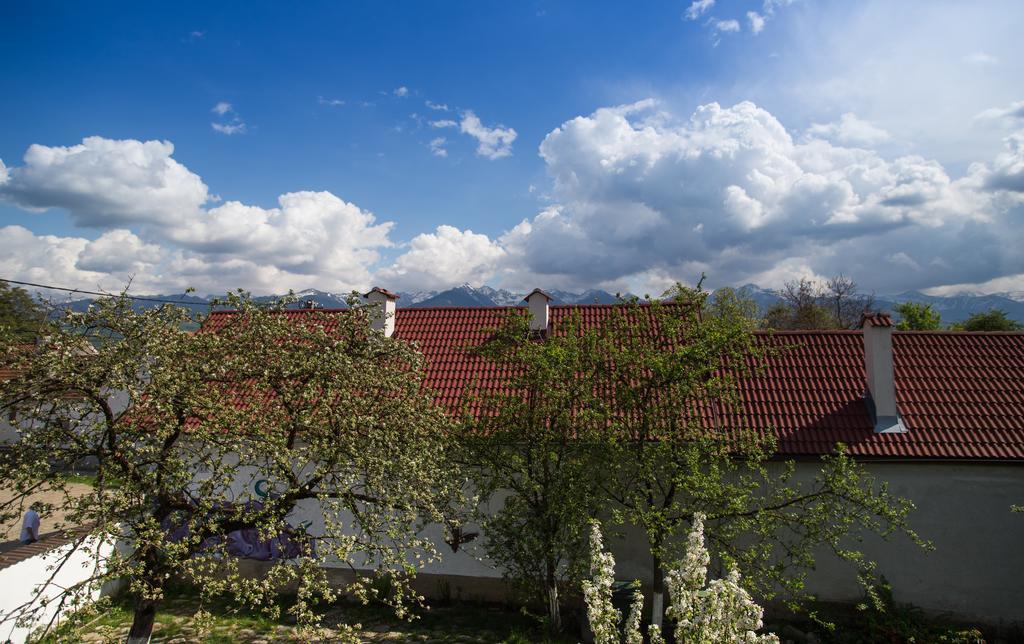 Casa Mosului - Transfagarasan Bed & Breakfast Cîrţişoara Екстериор снимка