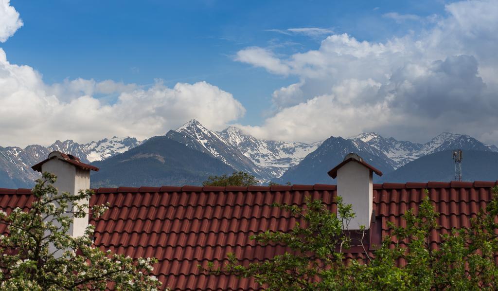 Casa Mosului - Transfagarasan Bed & Breakfast Cîrţişoara Екстериор снимка