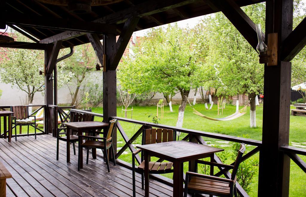 Casa Mosului - Transfagarasan Bed & Breakfast Cîrţişoara Екстериор снимка