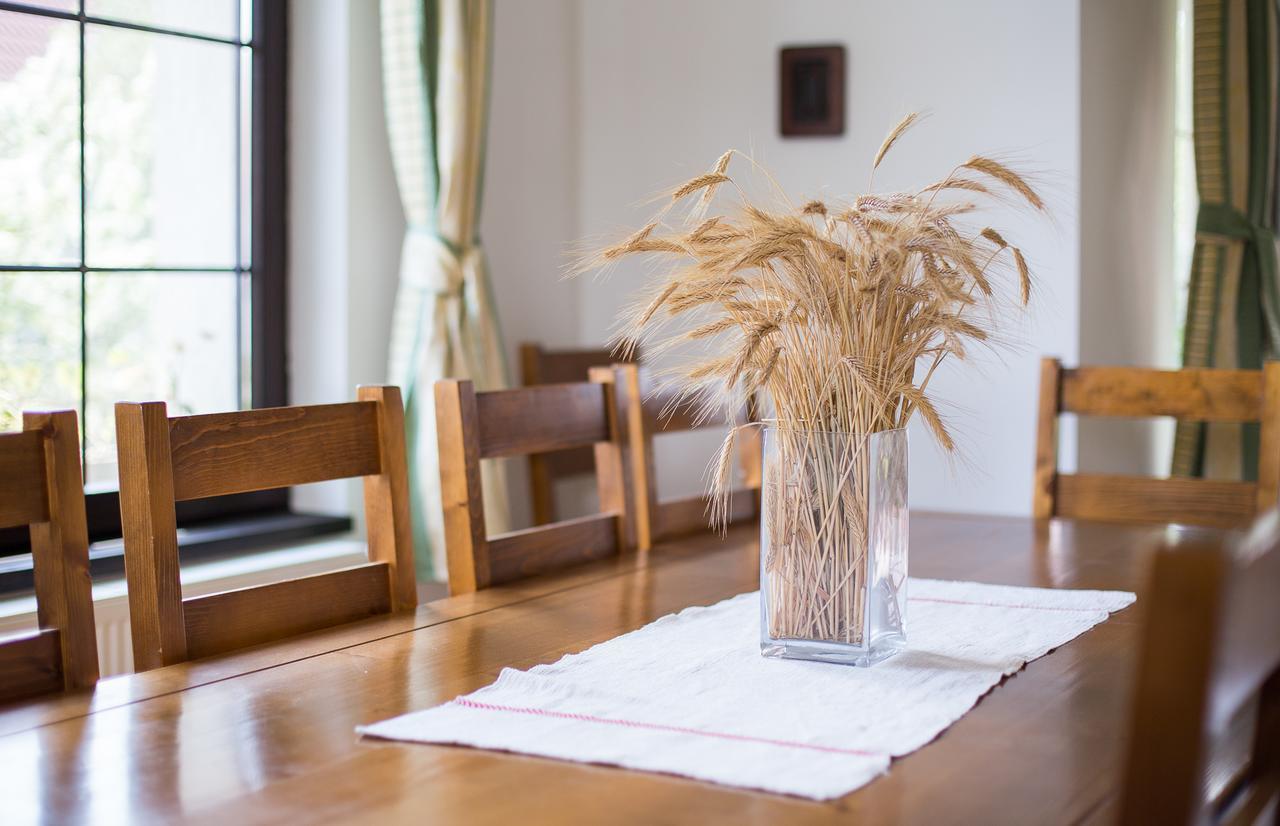 Casa Mosului - Transfagarasan Bed & Breakfast Cîrţişoara Екстериор снимка